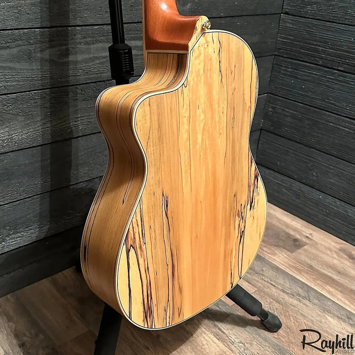 Ortega TZSM/2 Spain Solid Spruce & Maple Nylon String Classical Thomas Zwijsen Signature Acoustic Electric Guitar