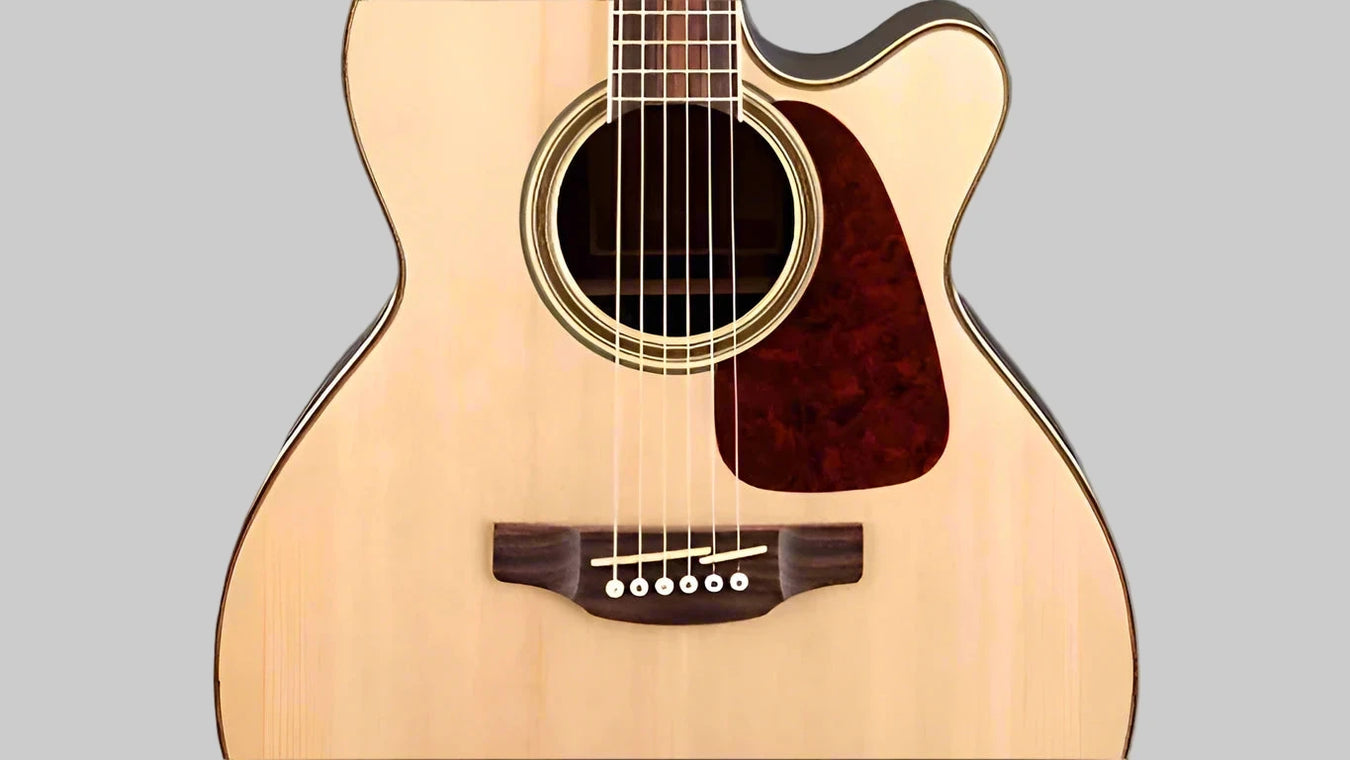 RAYHILL AUDIO ACOUSTIC GUITARS