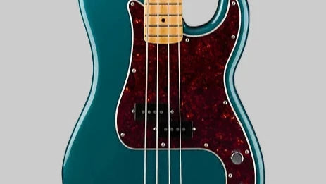 RAYHILL AUDIO BASS GUITAR