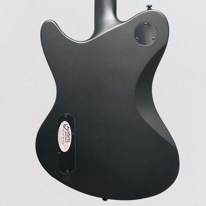 Schecter Ultra Electric Guitar - Black