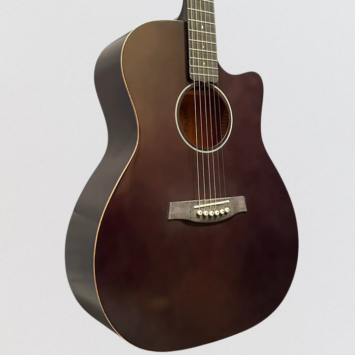 Schecter Deluxe Auditorium Acoustic Guitar - Satin See Thru Black