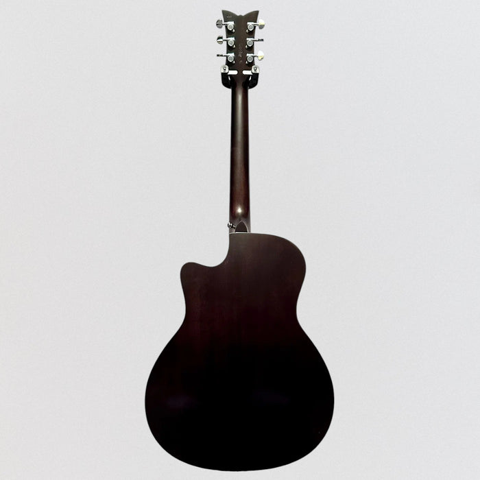Schecter Deluxe Auditorium Acoustic Guitar - Satin See Thru Black