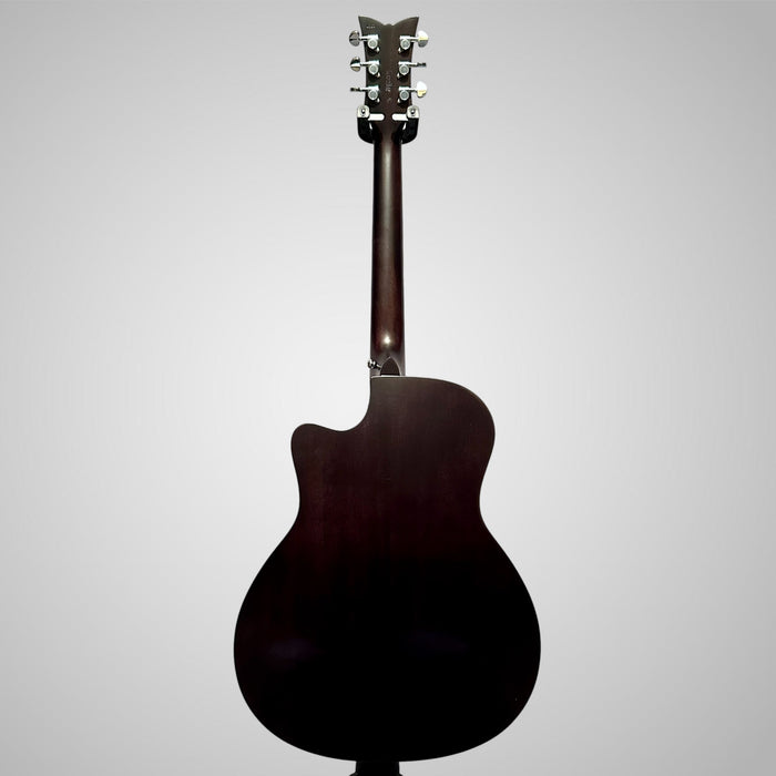 Schecter Deluxe Auditorium Acoustic Guitar - Satin See Thru Black