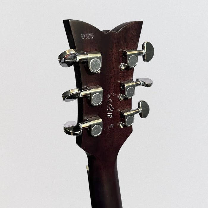 Schecter Deluxe Auditorium Acoustic Guitar - Satin See Thru Black