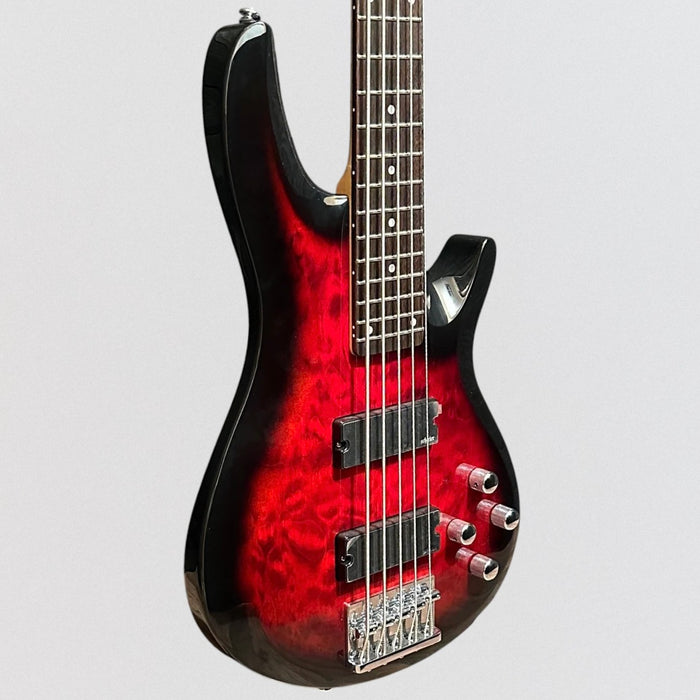Schecter C-5 Plus 5 String Electric Bass Guitar - Red