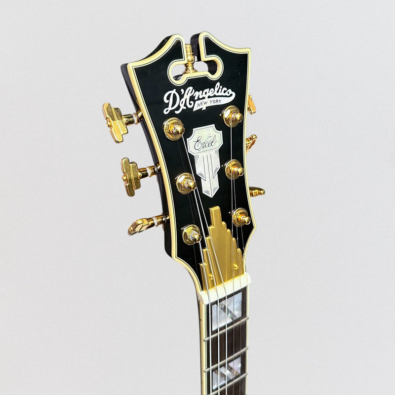 D'Angelico Excel Mini DC Semi Hollow body Electric Guitar - Black Dog