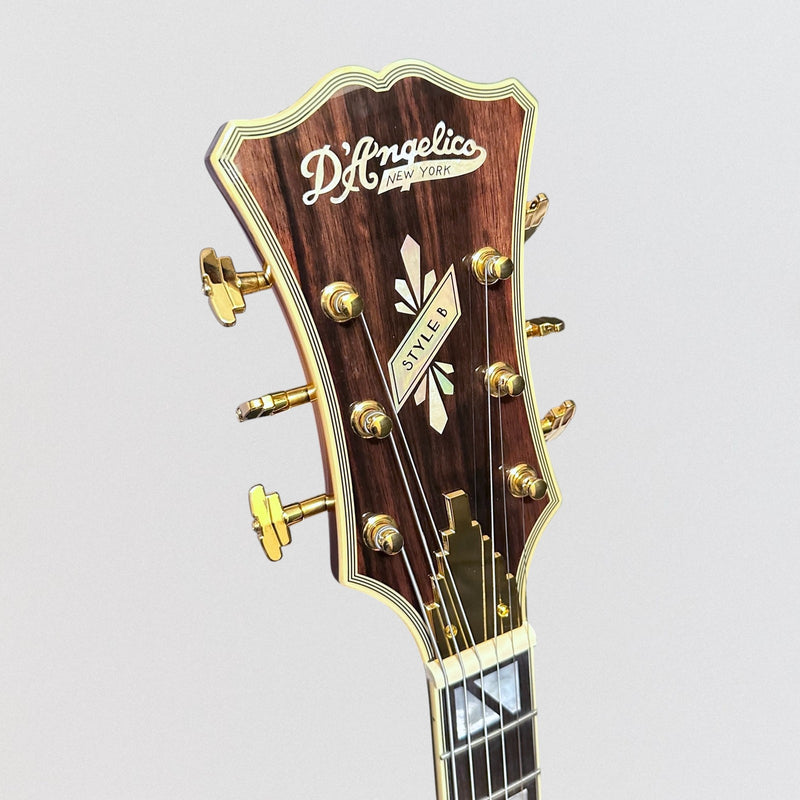 D'Angelico Excel Style B Hollow-body Archtop Electric Guitar - Dark Iced Tea Burst
