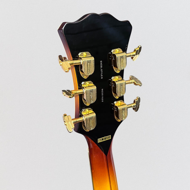 D'Angelico Excel Style B Hollow-body Archtop Electric Guitar - Dark Iced Tea Burst