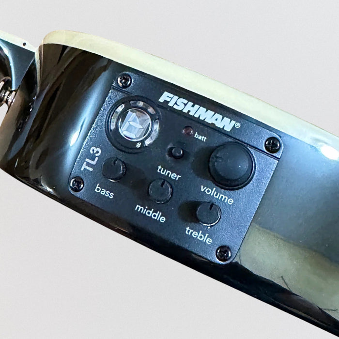 ESP LTD TL-6 Acoustic Electric Guitar - Purple