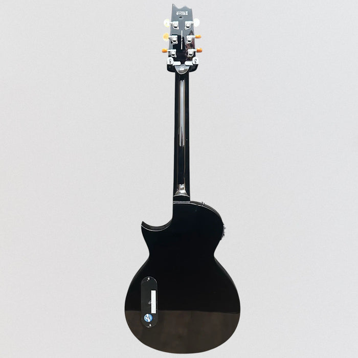 ESP LTD TL-6 Acoustic Electric Guitar - Purple