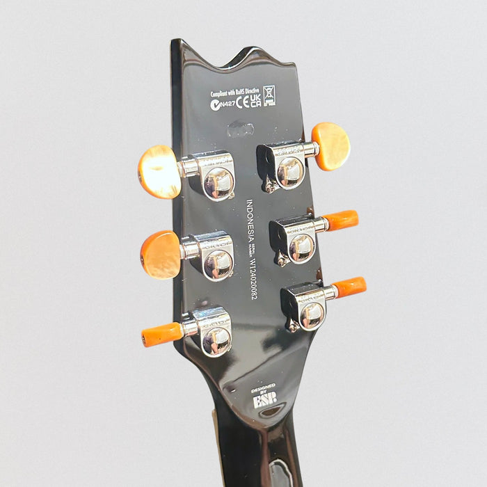 ESP LTD TL-6 Acoustic Electric Guitar - Purple