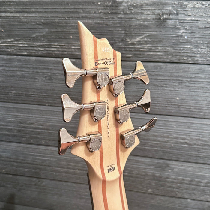 ESP LTD B-206SM 6-String Electric Bass Guitar - Spalted Maple