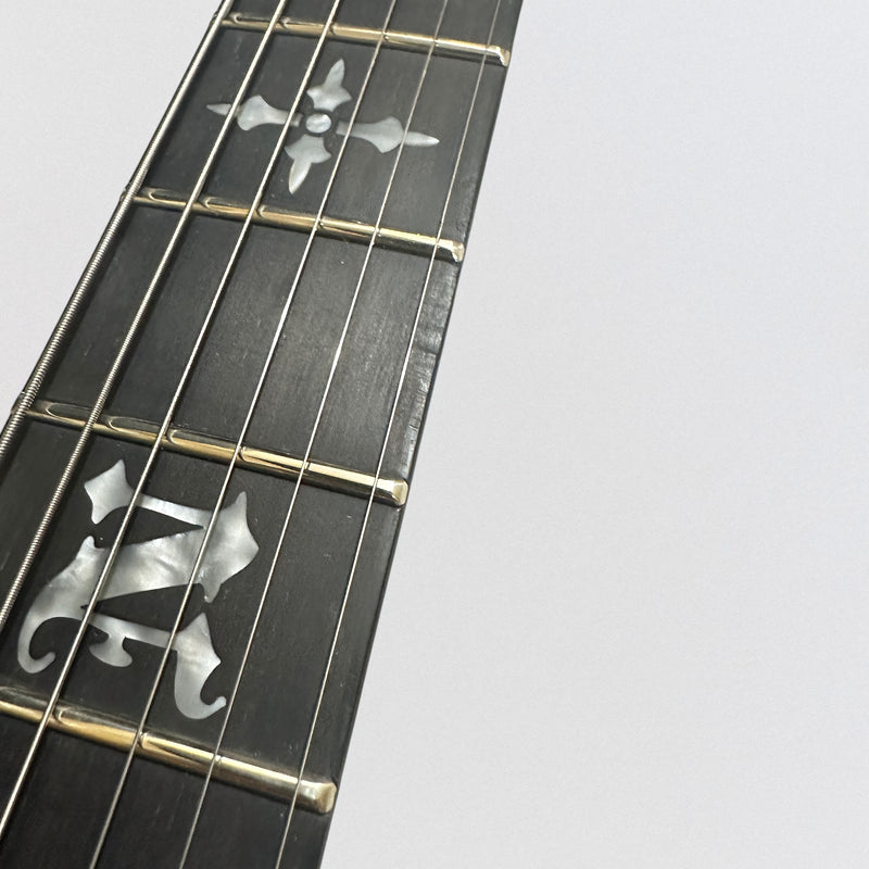 Schecter Synyster Gates Standard Plus Electric Guitar - Transparent Deep Red