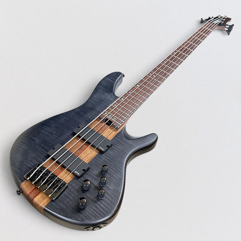Schecter Charles Berthoud CB 5 String Electric Bass Guitar - See Thru Black