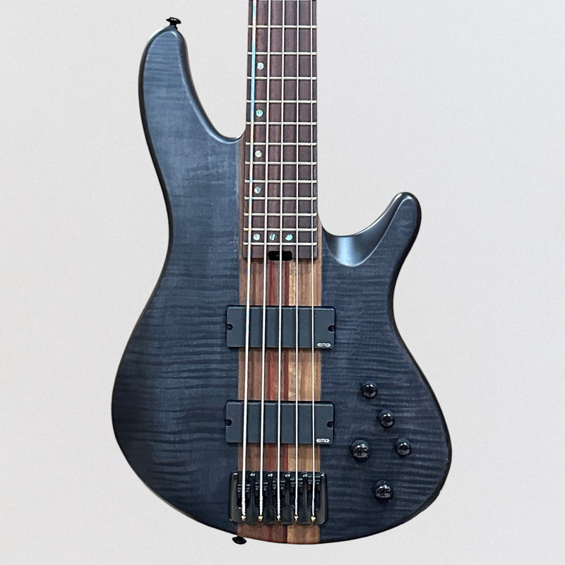 Schecter Charles Berthoud CB 5 String Electric Bass Guitar - See Thru Black