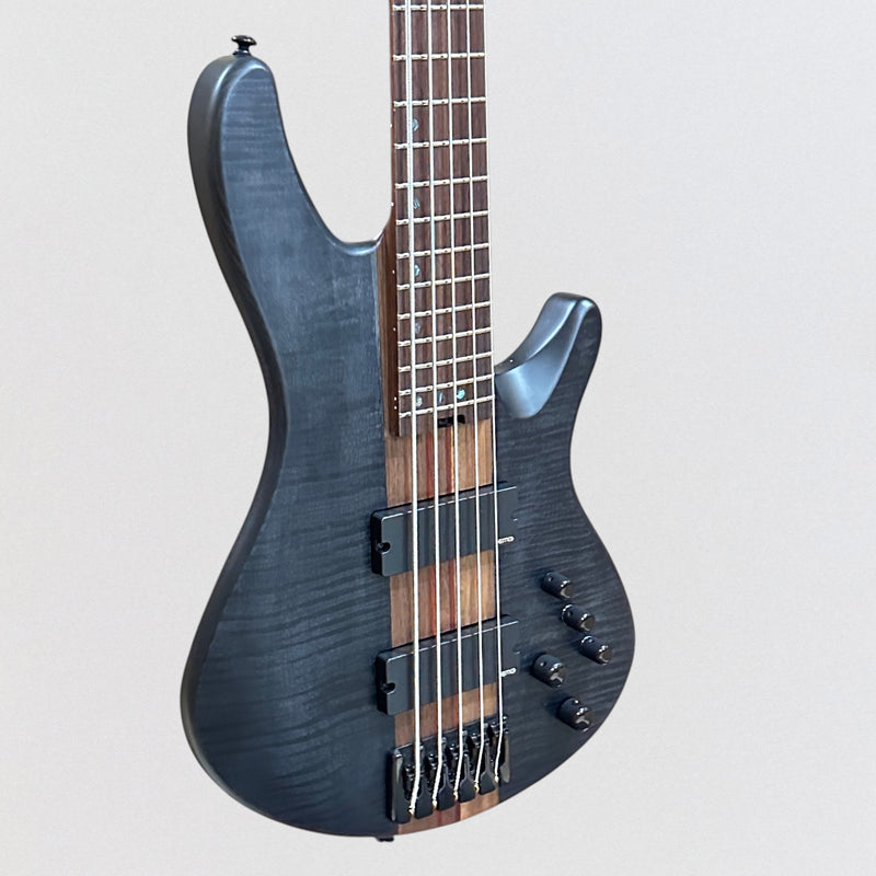 Schecter Charles Berthoud CB 5 String Electric Bass Guitar - See Thru Black