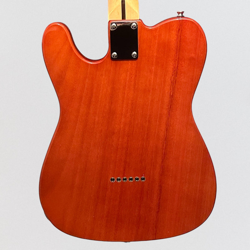 Aria TEG-TL Modern Classic Thinline Semi Hollow Tele Style Electric Guitar - Natural