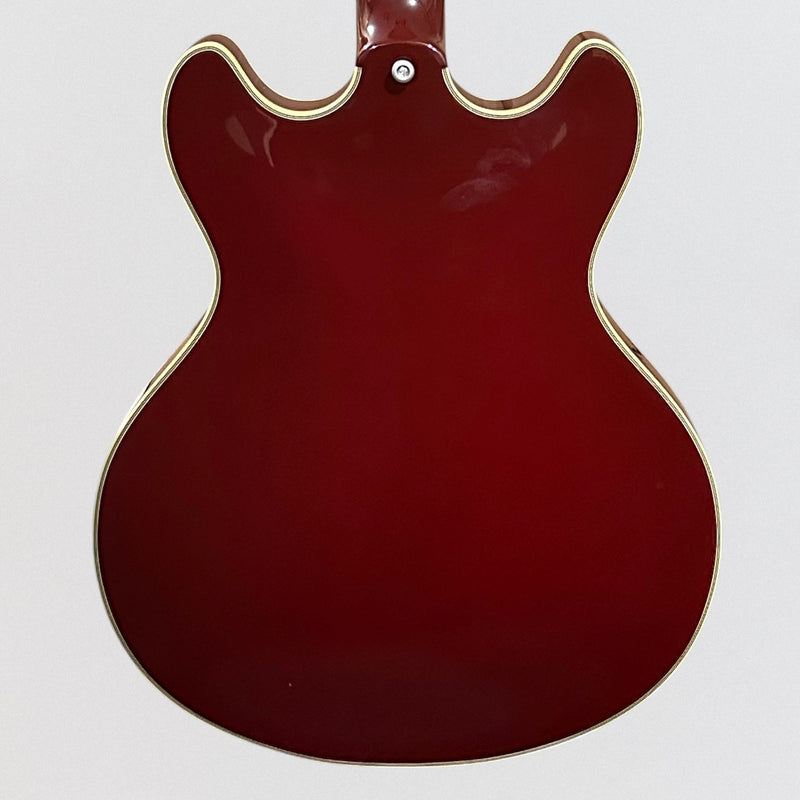 D'Angelico Excel DC Tour Collection Semi Hollowbody Electric Guitar - Solid Wine