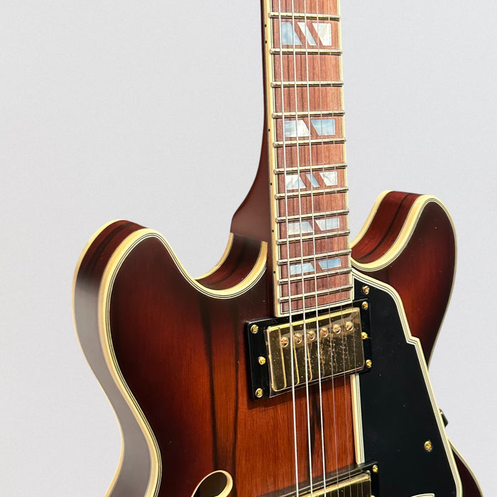 D'Angelico Deluxe Mini DC Semi Hollow Body Electric Guitar - Satin Brown Burst