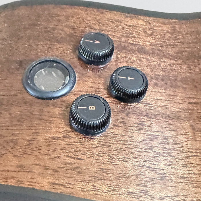 Breedlove Wildwood Pro Series Dreadnought Concerto Acoustic Electric Guitar - Suede Burst