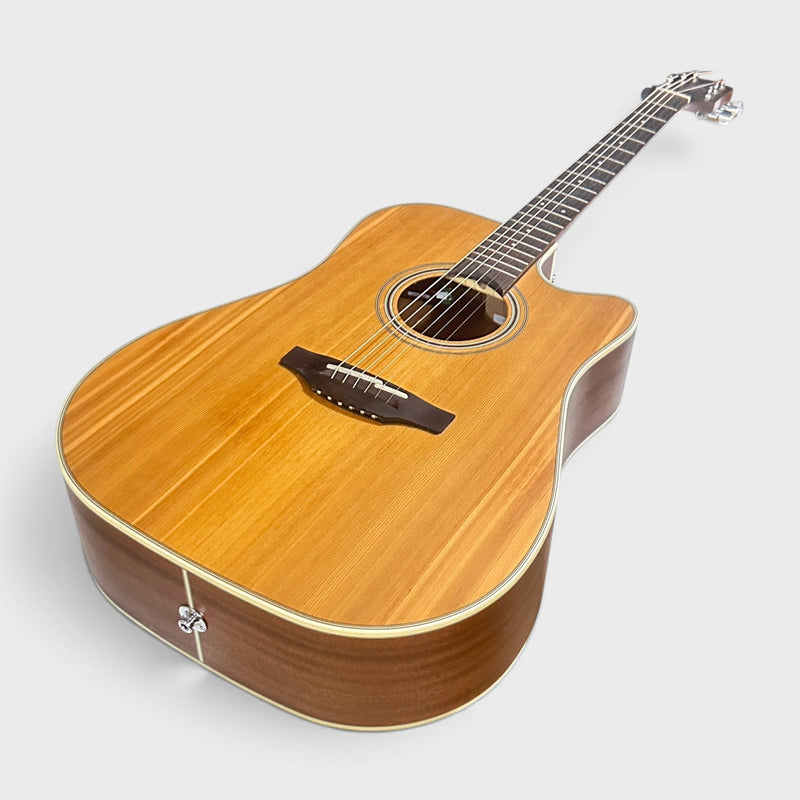 Takamine GD20CE-NS Dreadnought Cutaway Acoustic-Electric Guitar - Natural