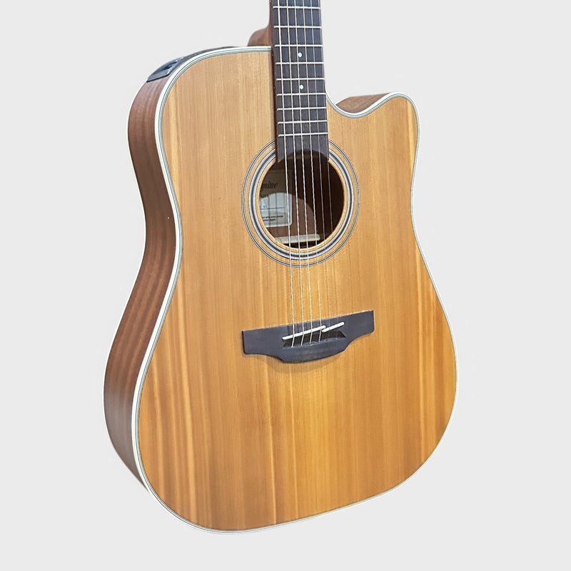 Takamine GD20CE-NS Dreadnought Cutaway Acoustic-Electric Guitar - Natural