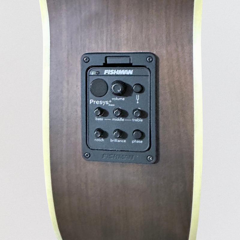 Warwick Rockbass Alien Deluxe 4 String Fretless Acoustic Electric Bass Guitar - Natural