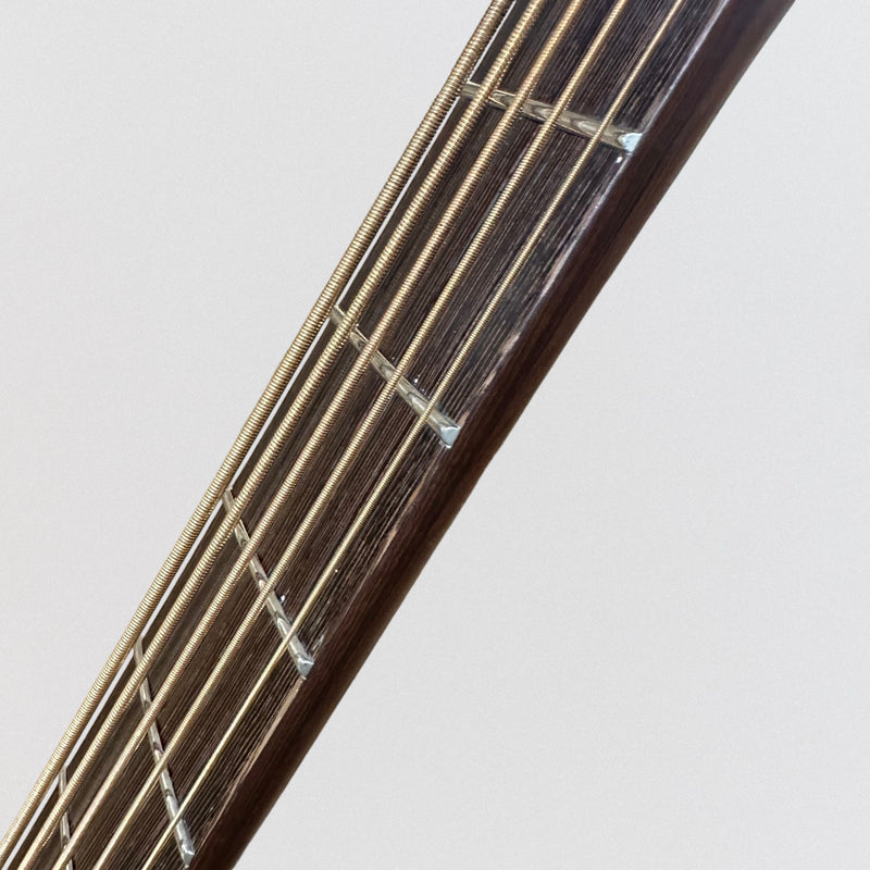 Warwick Alien Standard 5 String Acoustic Electric Bass Guitar - Black
