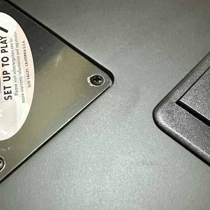 Schecter Sun Valley Super Shredder Floyd Rose Electric Guitar - Satin Black