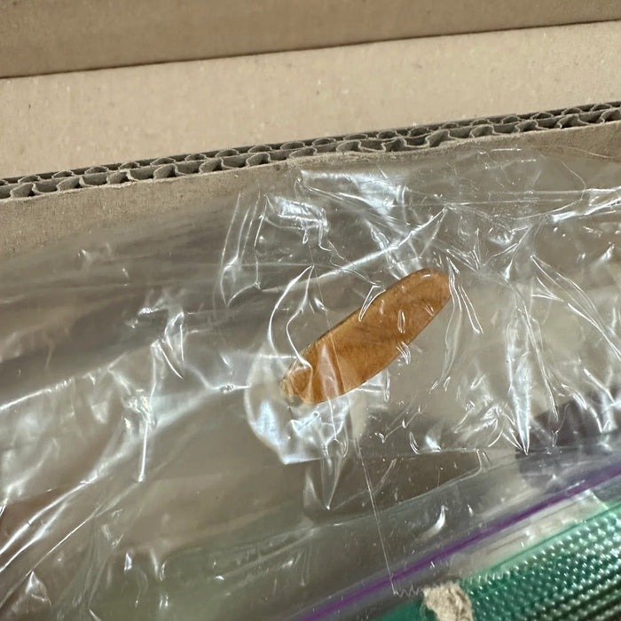 Wylde Audio Berzerker Rawtop Electric Guitar - Corridors