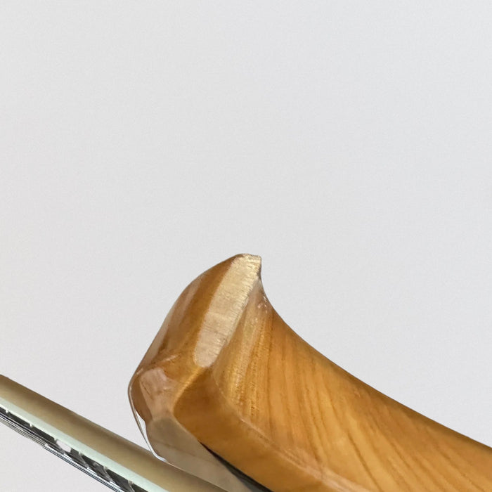 Wylde Audio Berzerker Rawtop Electric Guitar - Corridors