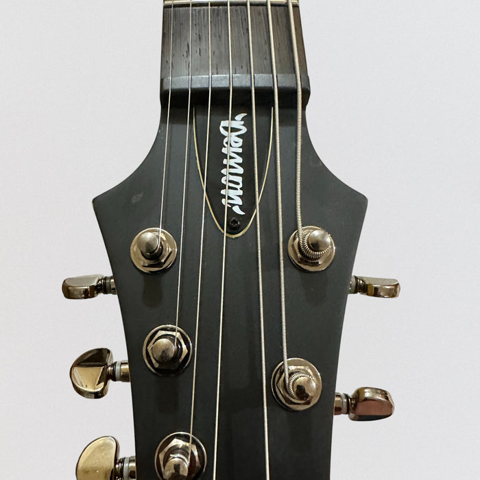 Schecter Demon-7 7-String Electric Guitar - Black