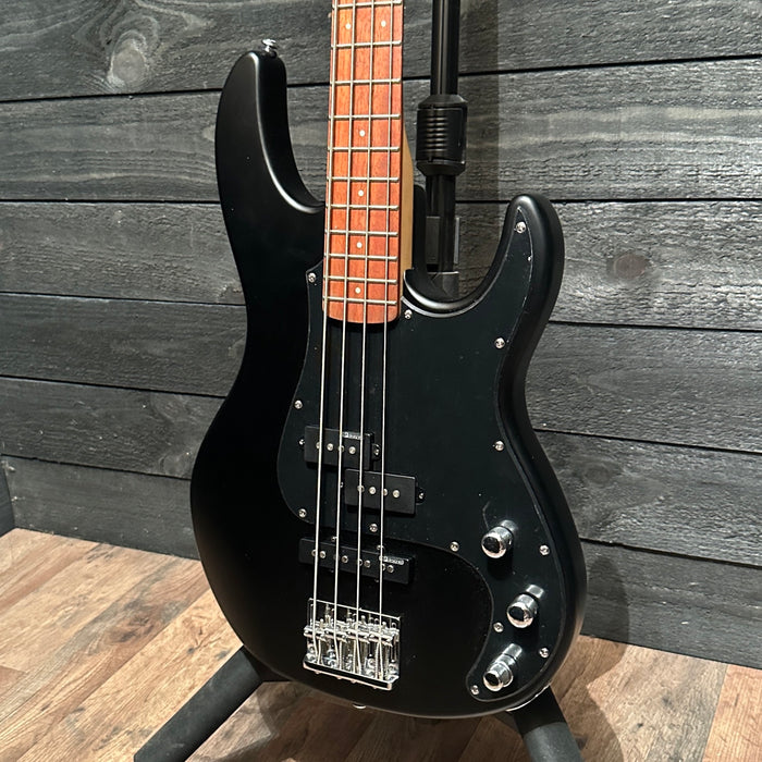 ESP LTD AP-204 4 String Electric Bass Guitar - Black