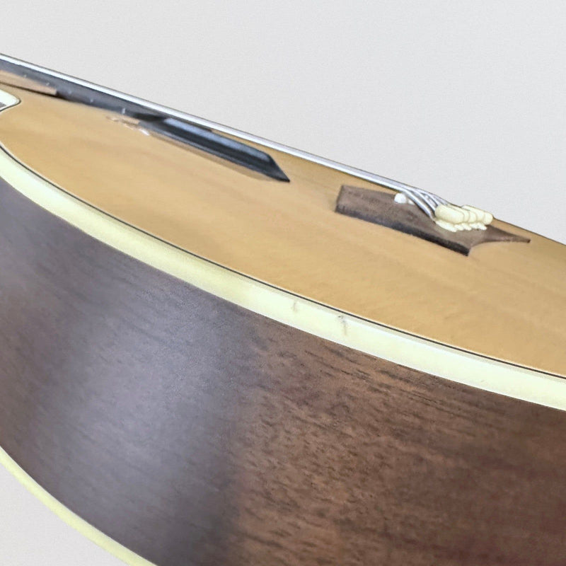Warwick RockBass Alien Deluxe Thinline Hybrid 5 String Fretless Acoustic Electric Bass Guitar - Natural