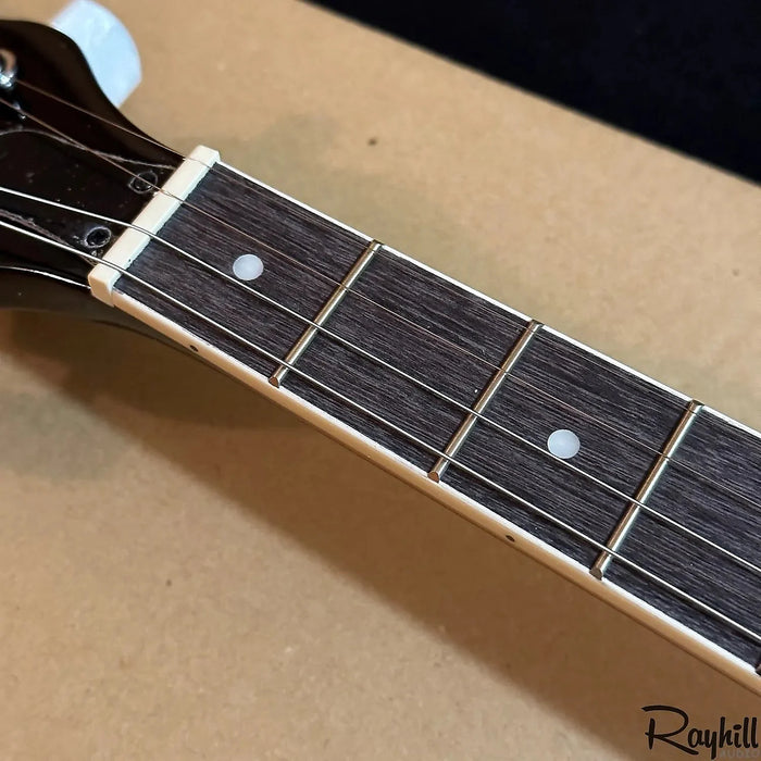 Danville Tenor 4-String Resonator Banjo