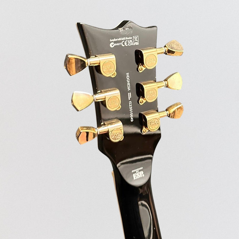 ESP LTD EC-256 Electric Guitar - Gloss Black