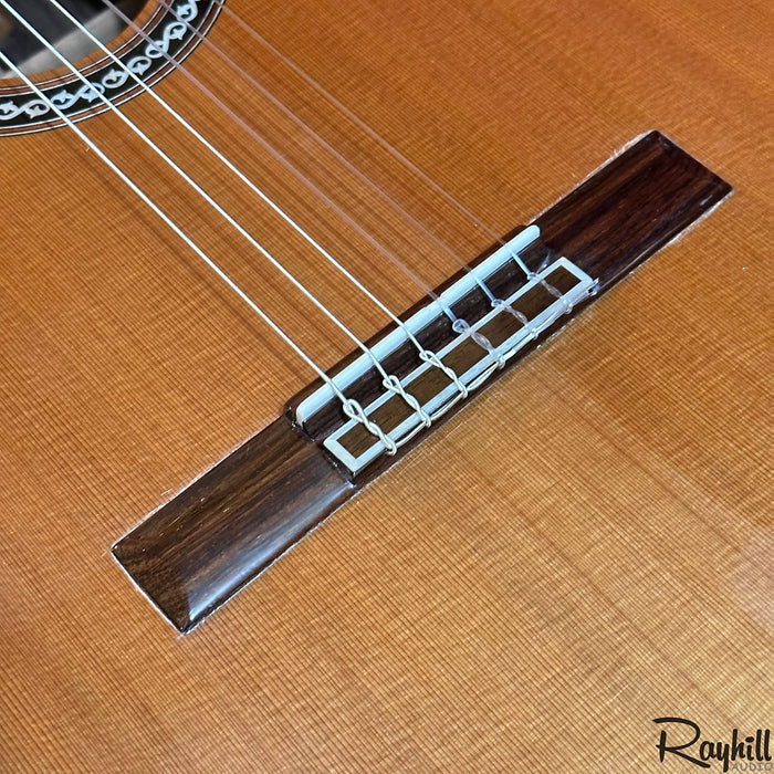 Cordoba C10 Parlor CD Classical Nylon String 7/8 Size Acoustic Guitar