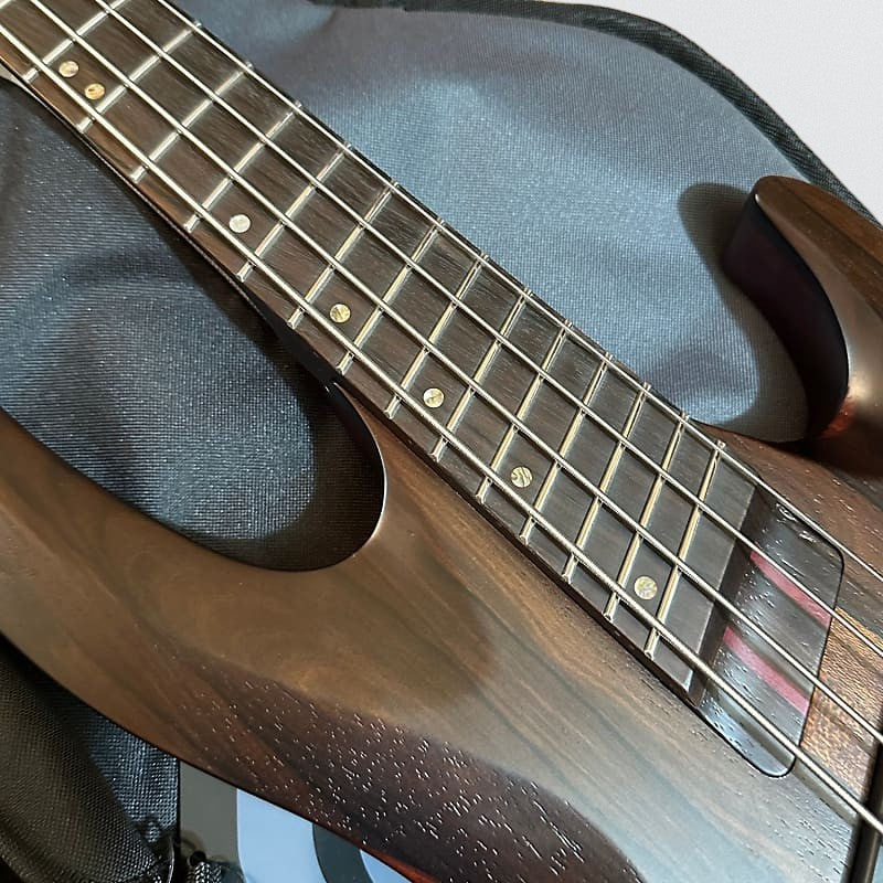 ESP LTD B-1004 Multi-Scale 4 String Electric Bass Guitar - Natural