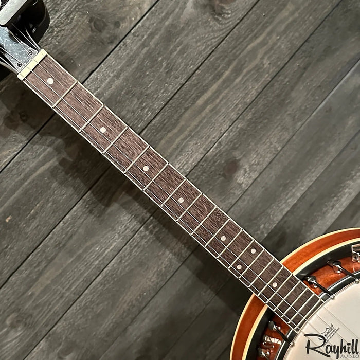 Danville Tenor 4-String Resonator Banjo