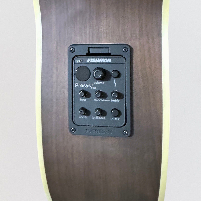 Warwick Rockbass Alien Deluxe 4 String Fretless Acoustic Electric Bass Guitar - Natural