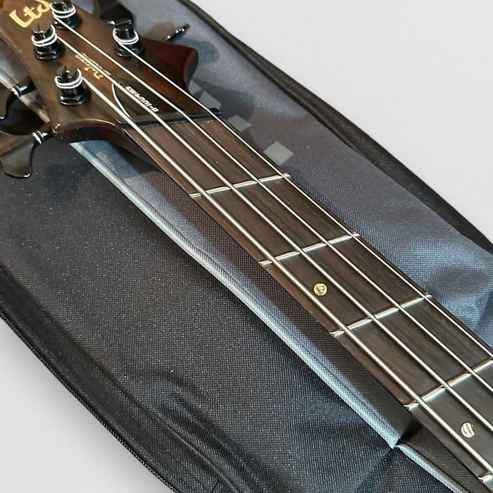 ESP LTD B-1004 Multi-Scale 4-String Electric Bass Guitar - Natural